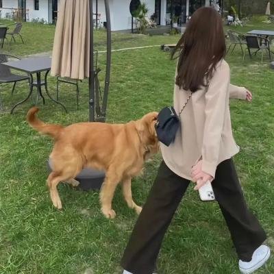 铁马车王：驶向自由